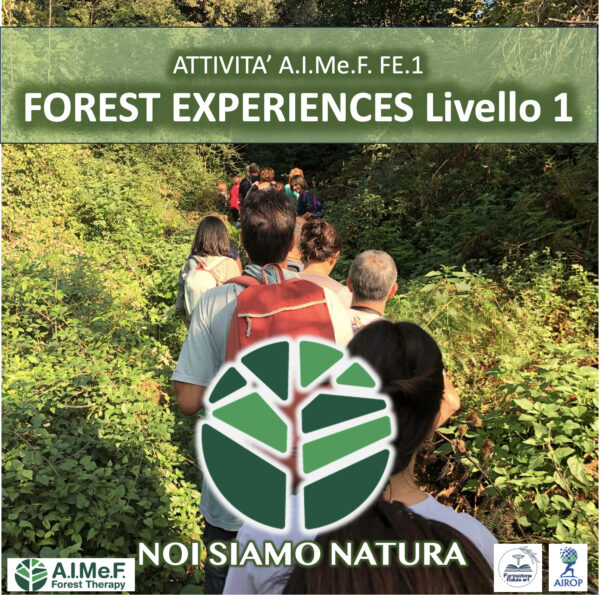 FE.1 - FOREST EXPERIENCES Livello.1