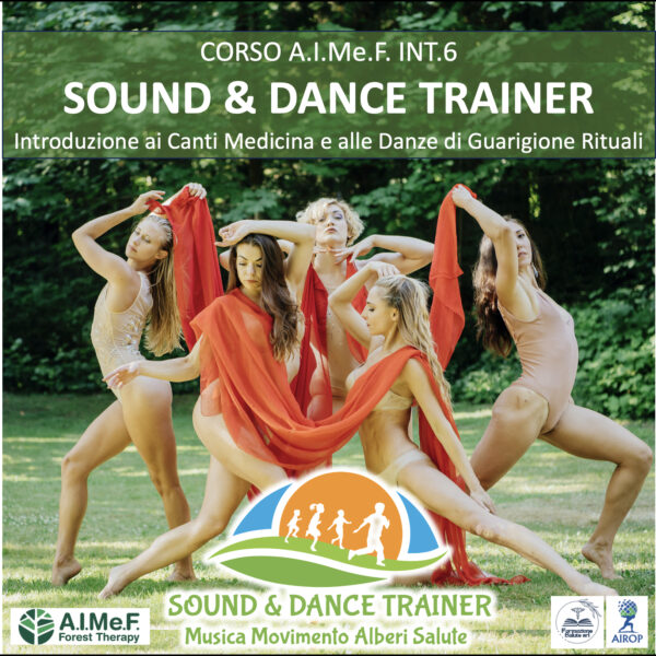 INT.6 SOUND & DANCE TRAINER