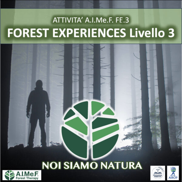 FE.3 - FOREST EXPERIENCES Livello.3