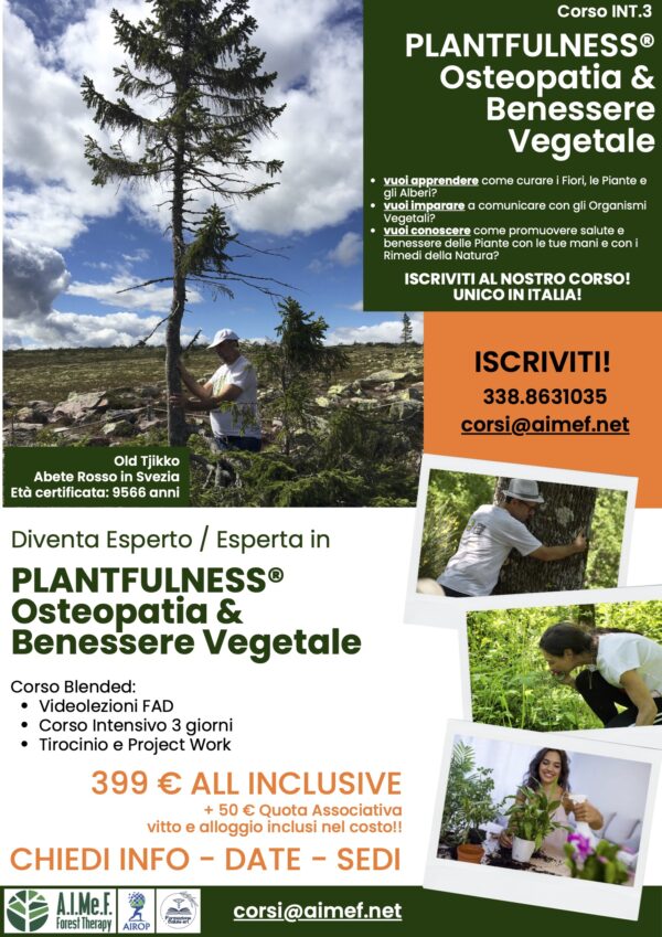 INT.3 PLANTFULLNESS Osteopatia & Benessere Vegetale - immagine 6