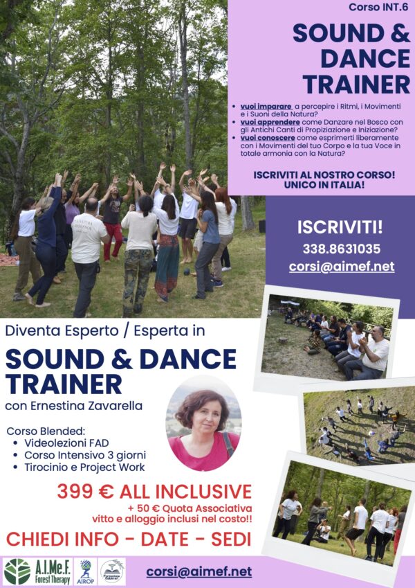 INT.6 SOUND & DANCE TRAINER - immagine 6