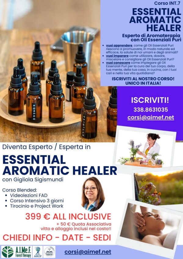 INT.7 ESSENTIAL AROMATIC HEALER - immagine 6